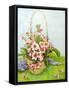 Pink Primroses in a Florist's Basket with a Paisley Scarf-Joan Thewsey-Framed Stretched Canvas