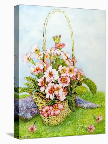 Pink Primroses in a Florist's Basket with a Paisley Scarf-Joan Thewsey-Stretched Canvas