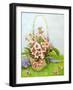 Pink Primroses in a Florist's Basket with a Paisley Scarf-Joan Thewsey-Framed Giclee Print