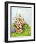 Pink Primroses in a Florist's Basket with a Paisley Scarf-Joan Thewsey-Framed Giclee Print