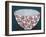 Pink Protea Bowl-Dale Hefer-Framed Photographic Print