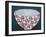 Pink Protea Bowl-Dale Hefer-Framed Photographic Print