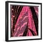 Pink Purse III-Kate Archie-Framed Art Print