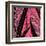 Pink Purse IV-Kate Archie-Framed Art Print