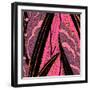 Pink Purse IV-Kate Archie-Framed Art Print