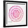 Pink Quaking-Cat Coquillette-Framed Giclee Print