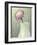 Pink Rannunculus in White Vase on Green-Tom Quartermaine-Framed Giclee Print