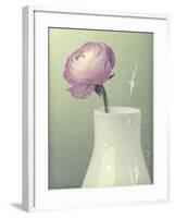 Pink Rannunculus in White Vase on Green-Tom Quartermaine-Framed Giclee Print