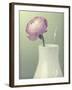 Pink Rannunculus in White Vase on Green-Tom Quartermaine-Framed Giclee Print