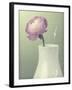 Pink Rannunculus in White Vase on Green-Tom Quartermaine-Framed Giclee Print