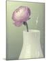 Pink Rannunculus in White Vase on Green-Tom Quartermaine-Mounted Giclee Print