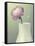 Pink Rannunculus in White Vase on Green-Tom Quartermaine-Framed Stretched Canvas