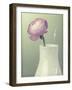 Pink Rannunculus in White Vase on Green-Tom Quartermaine-Framed Giclee Print