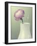 Pink Rannunculus in White Vase on Green-Tom Quartermaine-Framed Giclee Print