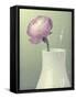 Pink Rannunculus in White Vase on Green-Tom Quartermaine-Framed Stretched Canvas