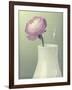 Pink Rannunculus in White Vase on Green-Tom Quartermaine-Framed Giclee Print