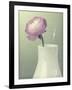 Pink Rannunculus in White Vase on Green-Tom Quartermaine-Framed Giclee Print