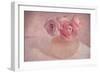 Pink Ranunculus Bouquet-Cora Niele-Framed Photographic Print