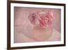 Pink Ranunculus Bouquet-Cora Niele-Framed Photographic Print