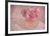 Pink Ranunculus Bouquet-Cora Niele-Framed Photographic Print