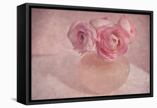 Pink Ranunculus Bouquet-Cora Niele-Framed Stretched Canvas