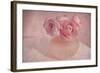 Pink Ranunculus Bouquet-Cora Niele-Framed Photographic Print