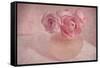 Pink Ranunculus Bouquet-Cora Niele-Framed Stretched Canvas