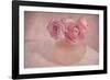 Pink Ranunculus Bouquet-Cora Niele-Framed Photographic Print