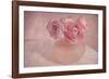 Pink Ranunculus Bouquet-Cora Niele-Framed Photographic Print