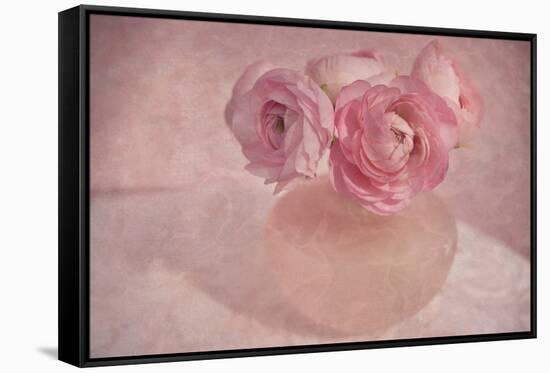 Pink Ranunculus Bouquet-Cora Niele-Framed Stretched Canvas