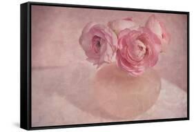 Pink Ranunculus Bouquet-Cora Niele-Framed Stretched Canvas