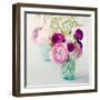 Pink Ranunculus-Sarah Gardner-Framed Photo