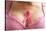 Pink Ribbon in Woman Chest to Support Breast Cancer Cause-Otna Ydur-Stretched Canvas