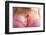 Pink Ribbon in Woman Chest to Support Breast Cancer Cause-Otna Ydur-Framed Photographic Print