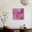 Pink Romance-Ruth Palmer-Art Print displayed on a wall