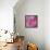 Pink Romance-Ruth Palmer-Framed Stretched Canvas displayed on a wall