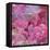 Pink Romance-Ruth Palmer-Framed Stretched Canvas