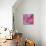 Pink Romance-Ruth Palmer-Stretched Canvas displayed on a wall