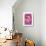 Pink Rose 1-Stacy Bass-Giclee Print displayed on a wall