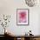 Pink Rose 2-Stacy Bass-Framed Giclee Print displayed on a wall