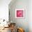 Pink Rose Abstract No 206-Shams Rasheed-Giclee Print displayed on a wall