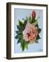 Pink Rose and Bud, 1986-Joan Thewsey-Framed Giclee Print