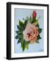 Pink Rose and Bud, 1986-Joan Thewsey-Framed Giclee Print