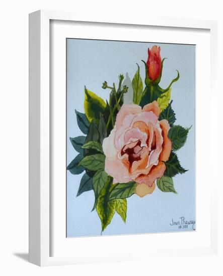 Pink Rose and Bud, 1986-Joan Thewsey-Framed Giclee Print