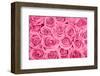 Pink Rose Bouqet-null-Framed Art Print