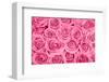 Pink Rose Bouqet-null-Framed Art Print
