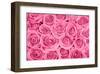 Pink Rose Bouqet-null-Framed Art Print