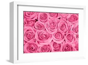 Pink Rose Bouqet-null-Framed Art Print