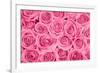 Pink Rose Bouqet-null-Framed Art Print