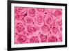 Pink Rose Bouqet-null-Framed Art Print